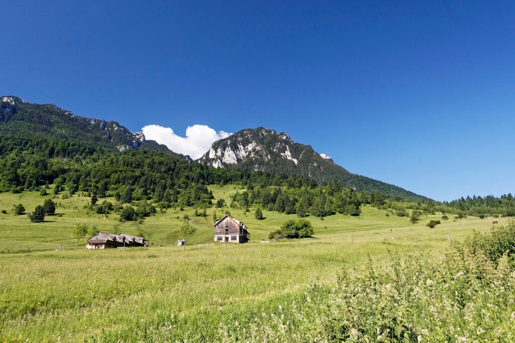 carpathian mountains landscape romania nature tour