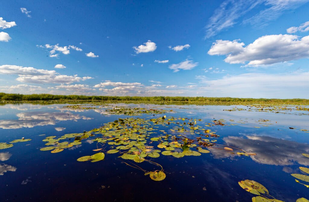 danube delta wetland landscape romania
