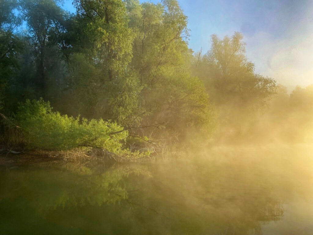 misty river channel at sunrise danube delta romania