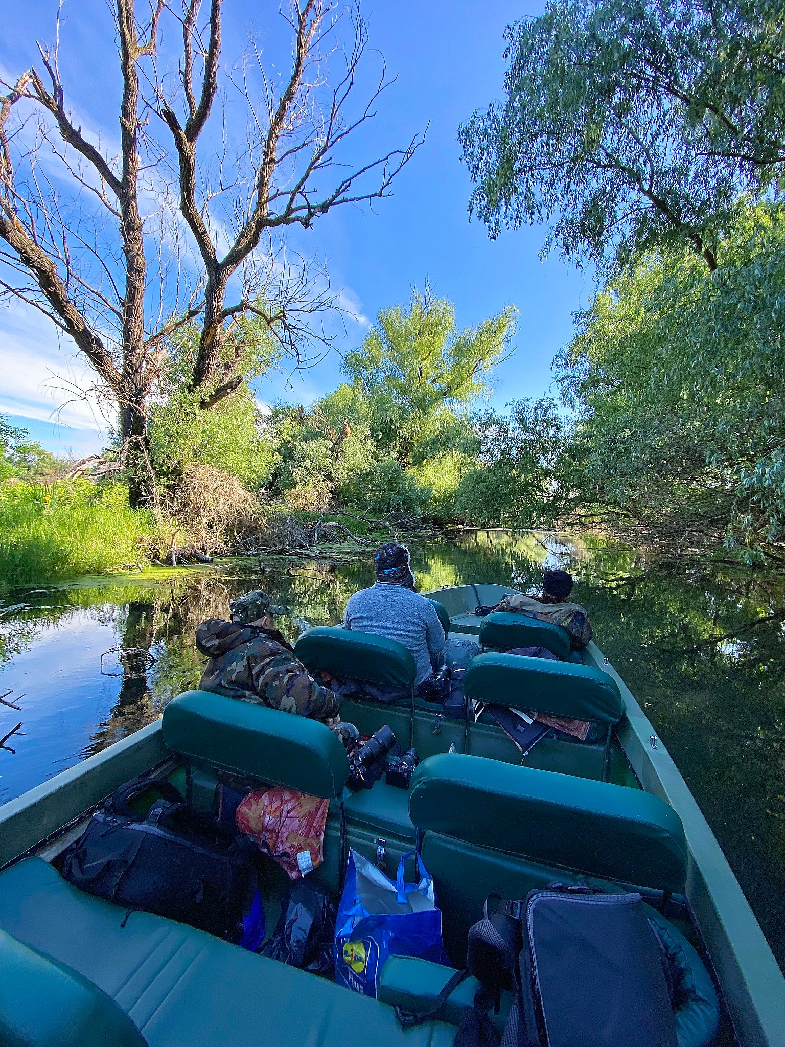 wildlife photography boat tour through forest channel romania